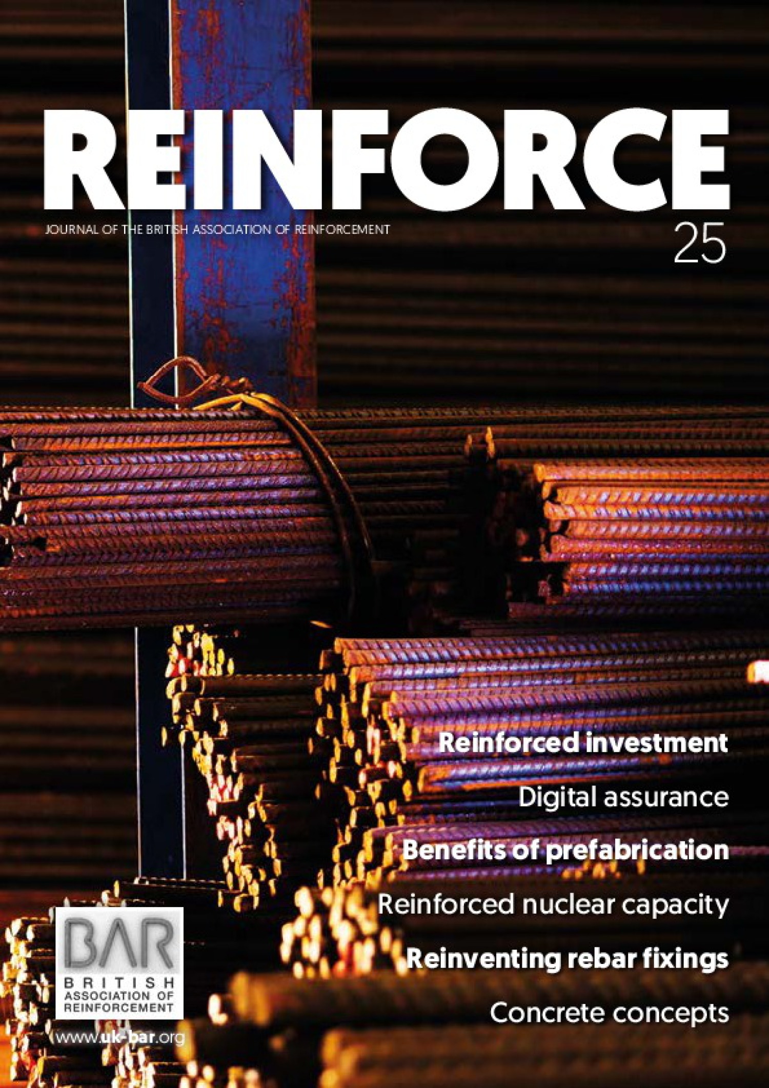 Reinforce Magazine 2025