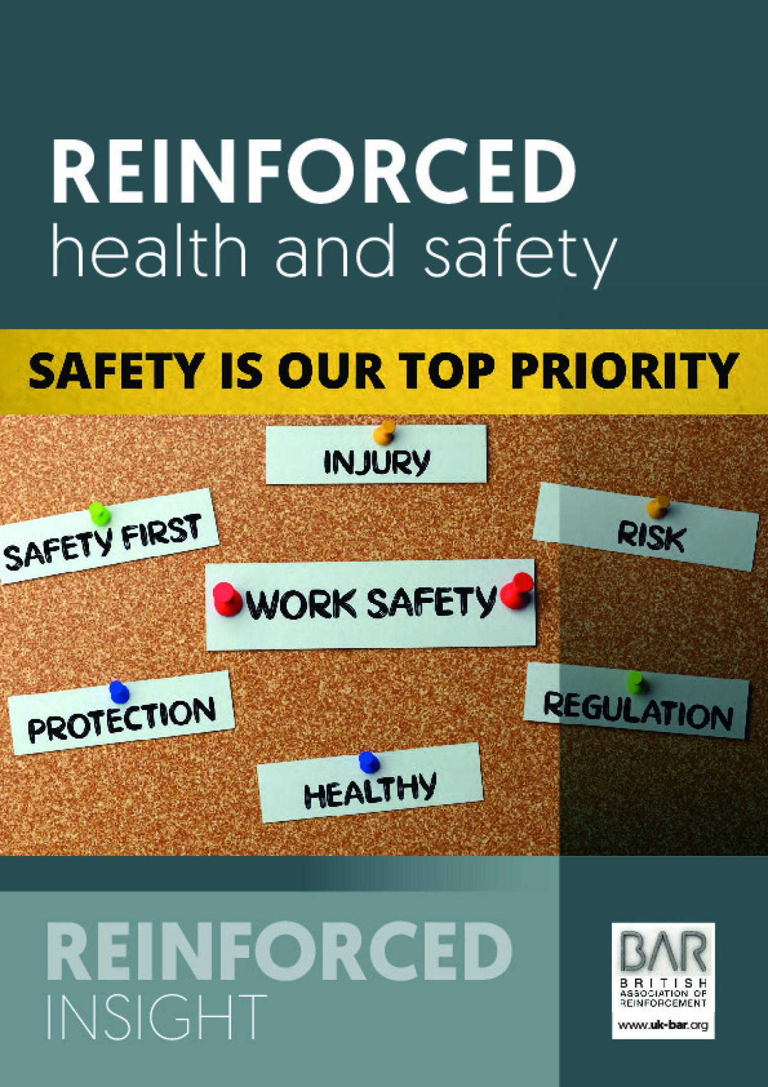 Reinforced Insight